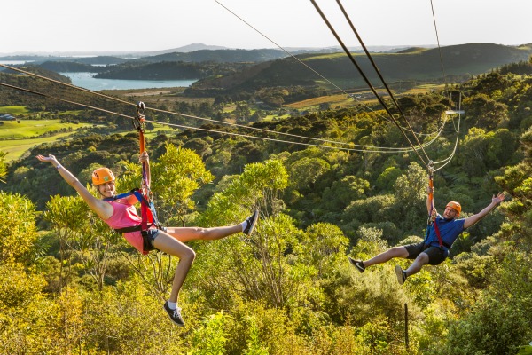 Ecozip Adventures | Your guide to Waiheke Island