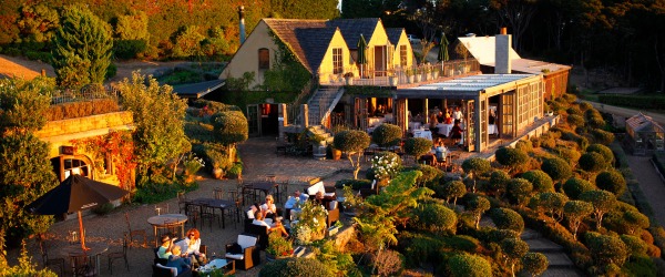 Mudbrick Restaurant and Vineyard Your guide to Waiheke Island