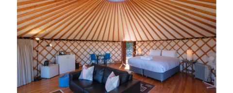 Awaawa Yurts - Tane Yurt